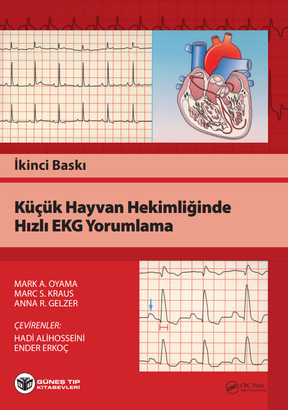 Küçük Hayvan Hekimliğinde Hızlı EKG Yorumlama