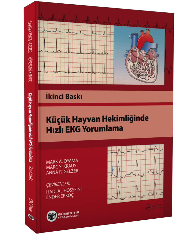 Küçük Hayvan Hekimliğinde Hızlı EKG Yorumlama