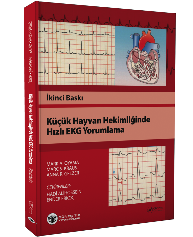 Küçük Hayvan Hekimliğinde Hızlı EKG Yorumlama