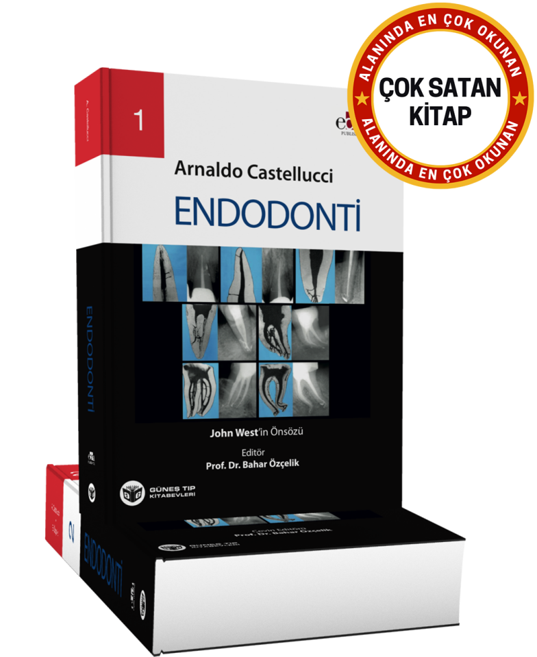 Endodonti 2 Cilt