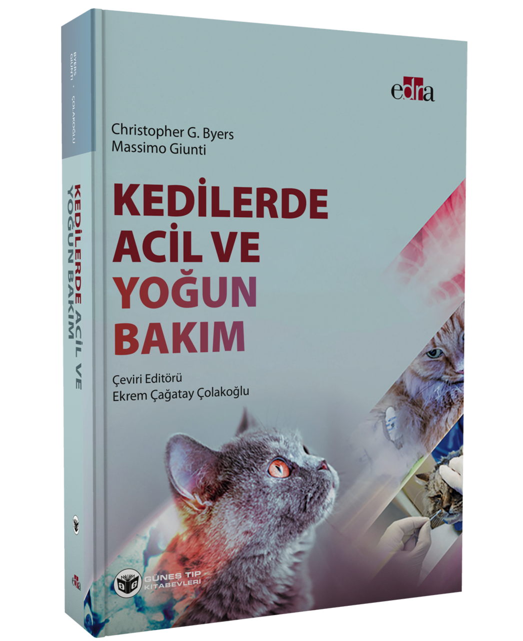 Kedilerde Acil ve Yoğun Bakım