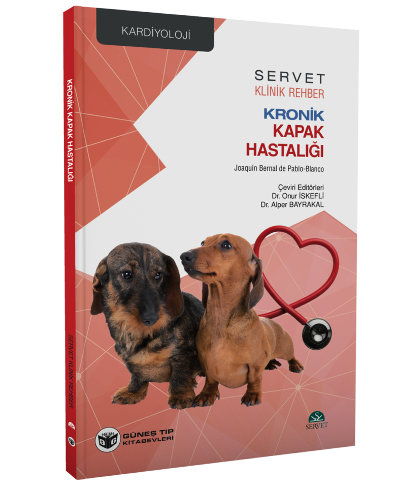 Kronik Kapak Hastalığı