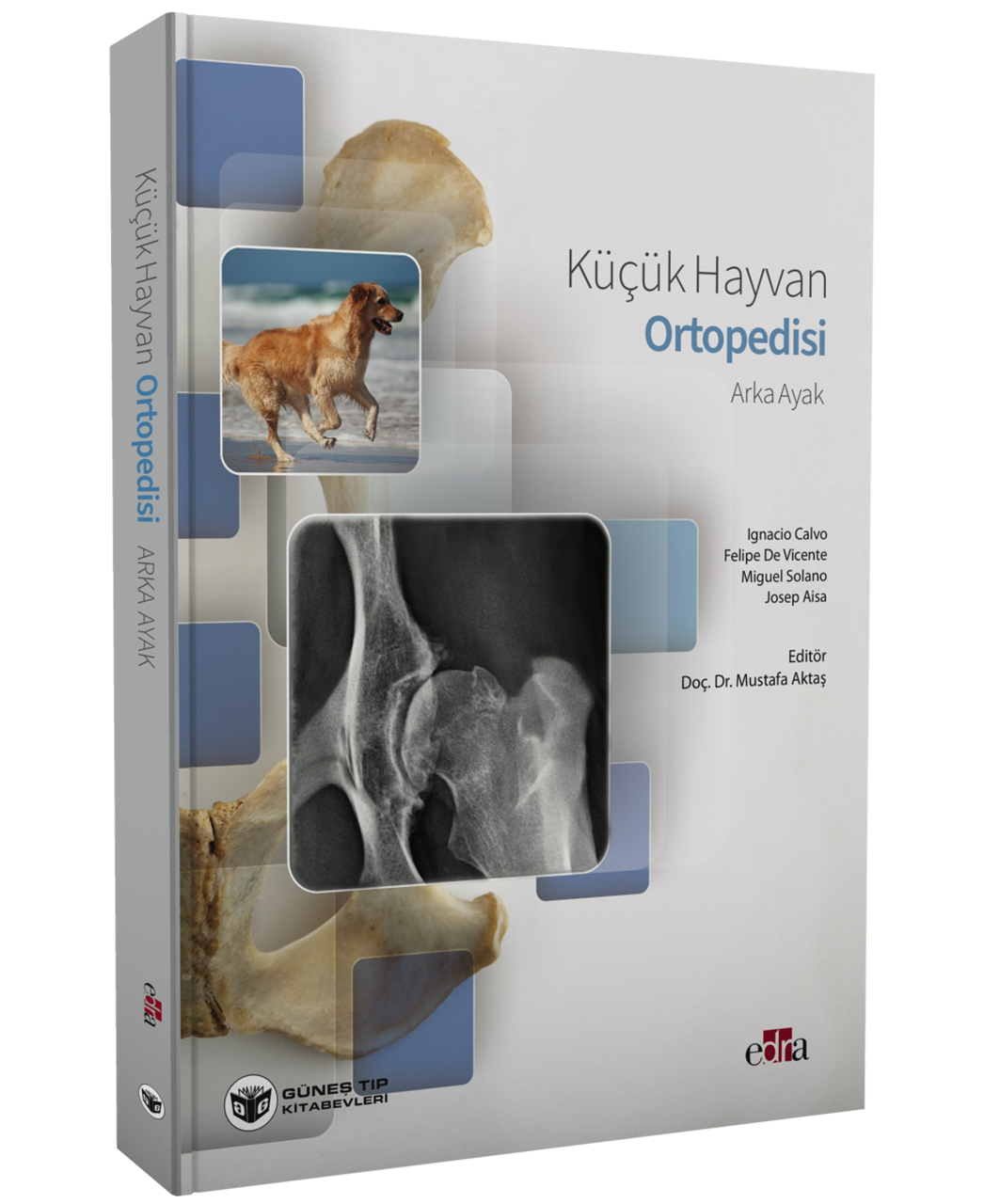 Küçük Hayvan Ortopedisi Arka Ayak