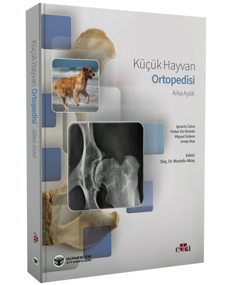 Küçük Hayvan Ortopedisi Arka Ayak
