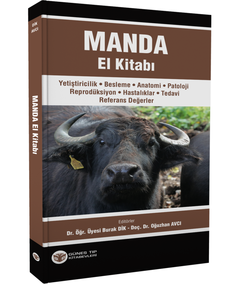 Manda El Kitabı
