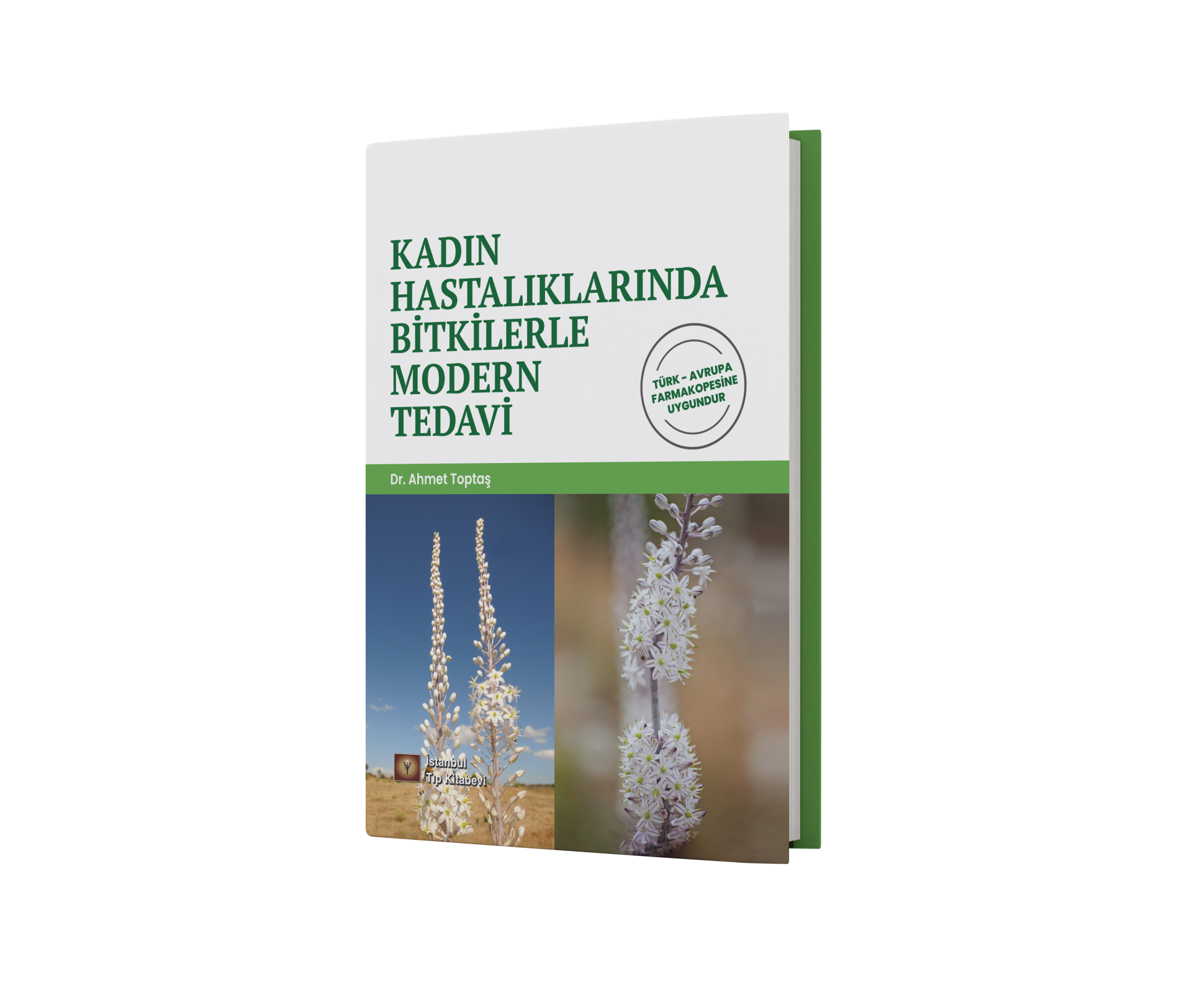 Kadın Hastalıklarında Bitkilerle Modern Tedavi