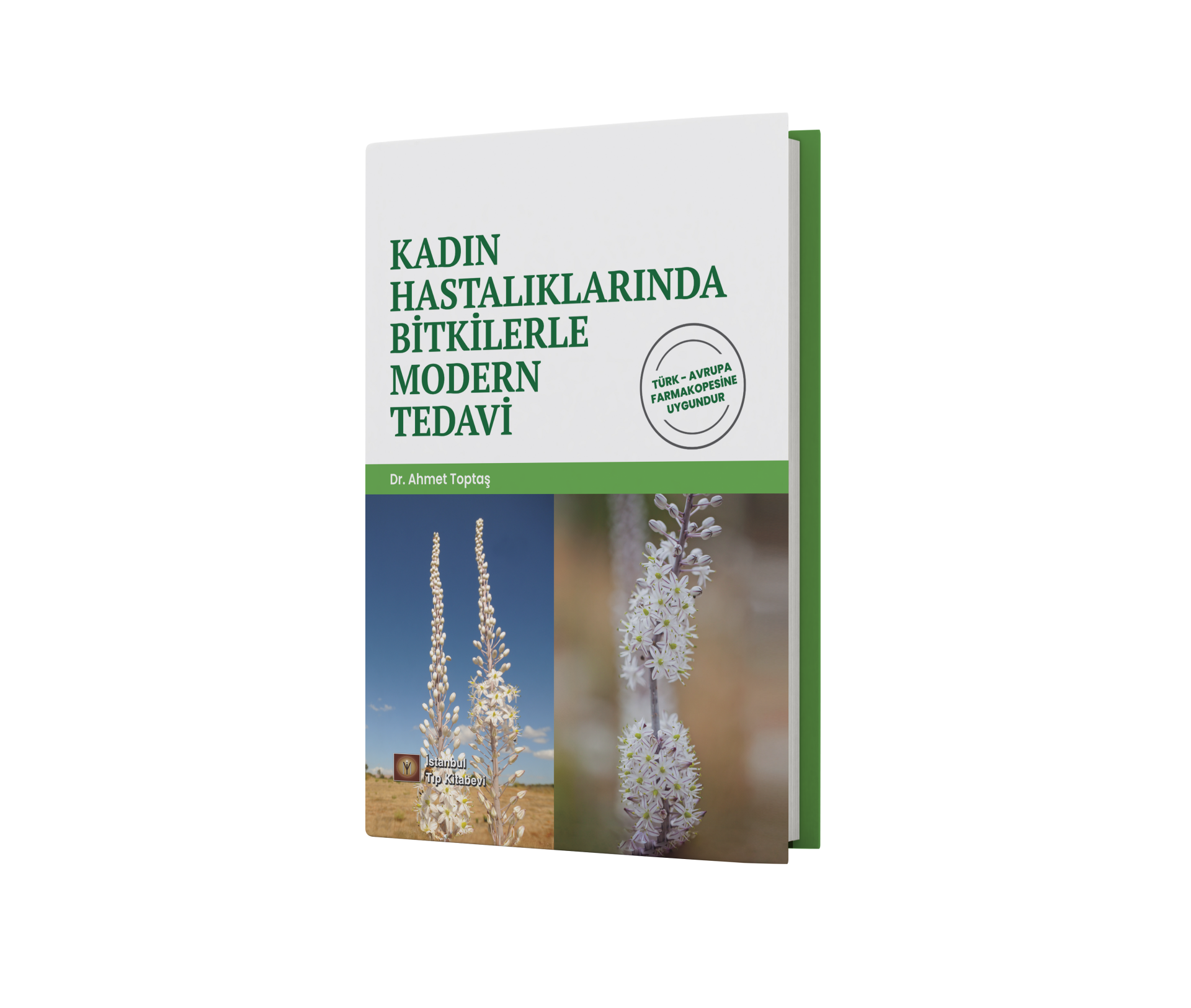 Kadın Hastalıklarında Bitkilerle Modern Tedavi