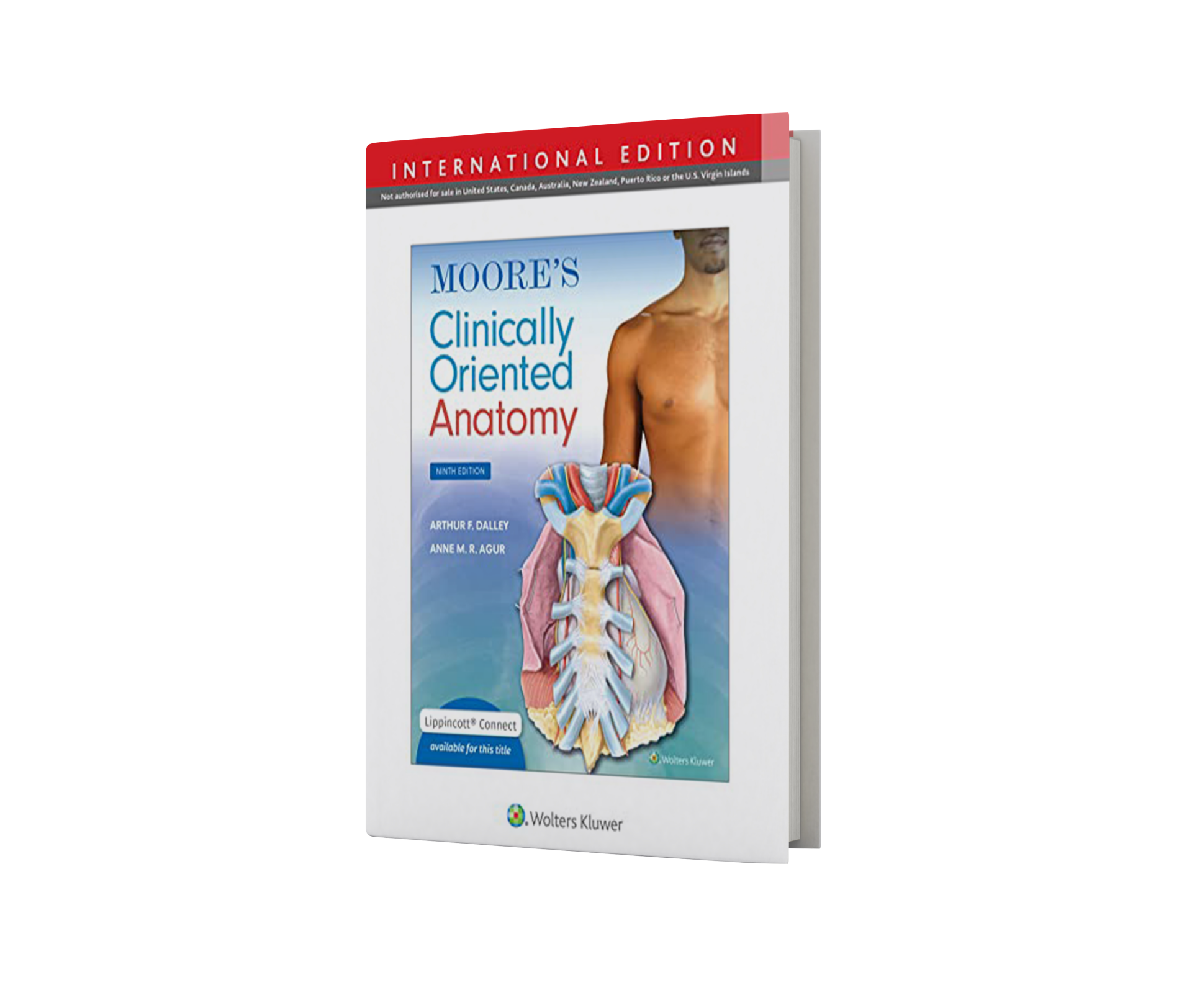 Moore's Clinically Oriented Anatomy, 9th Edition