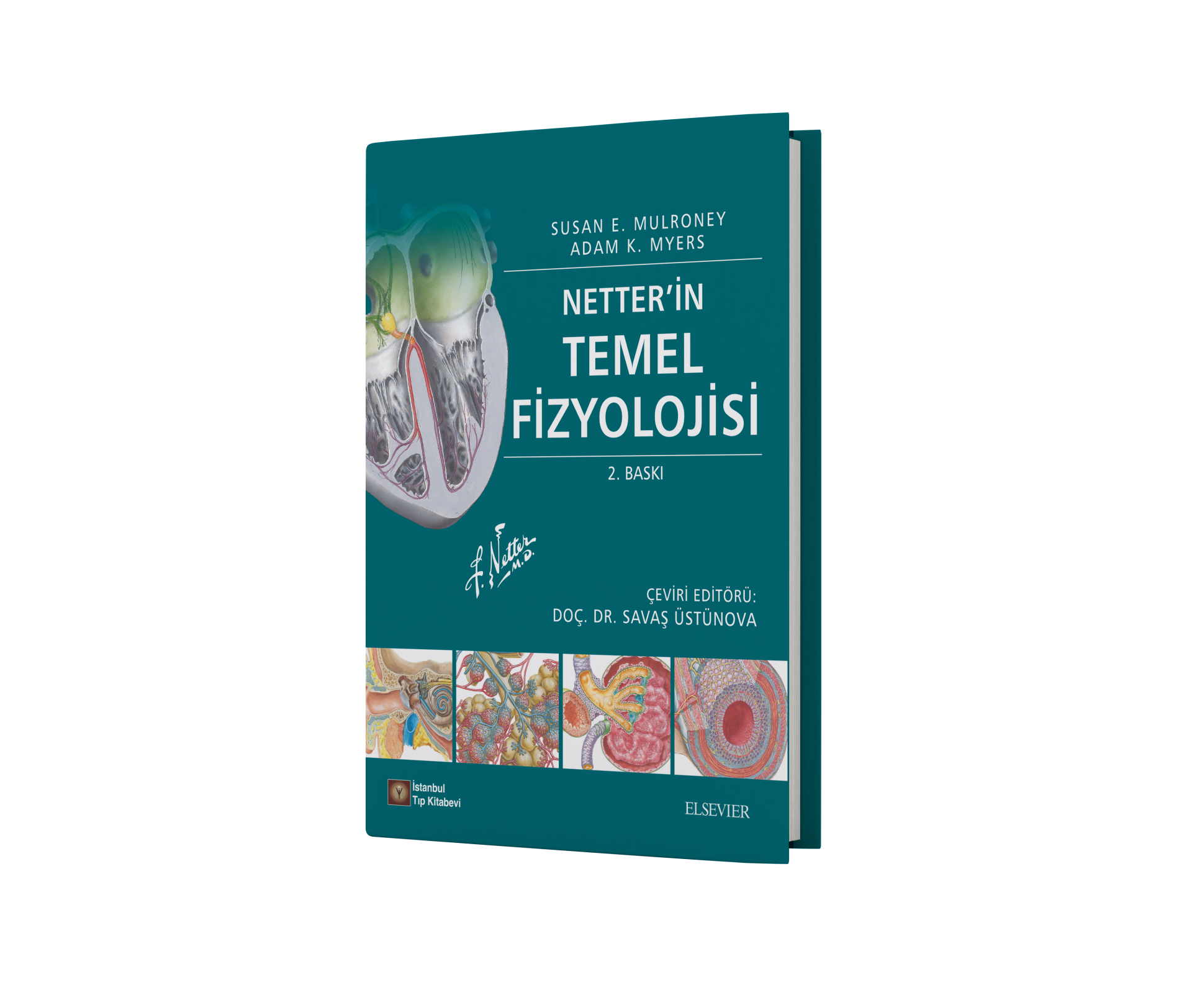 Netter'in Temel Fizyolojisi