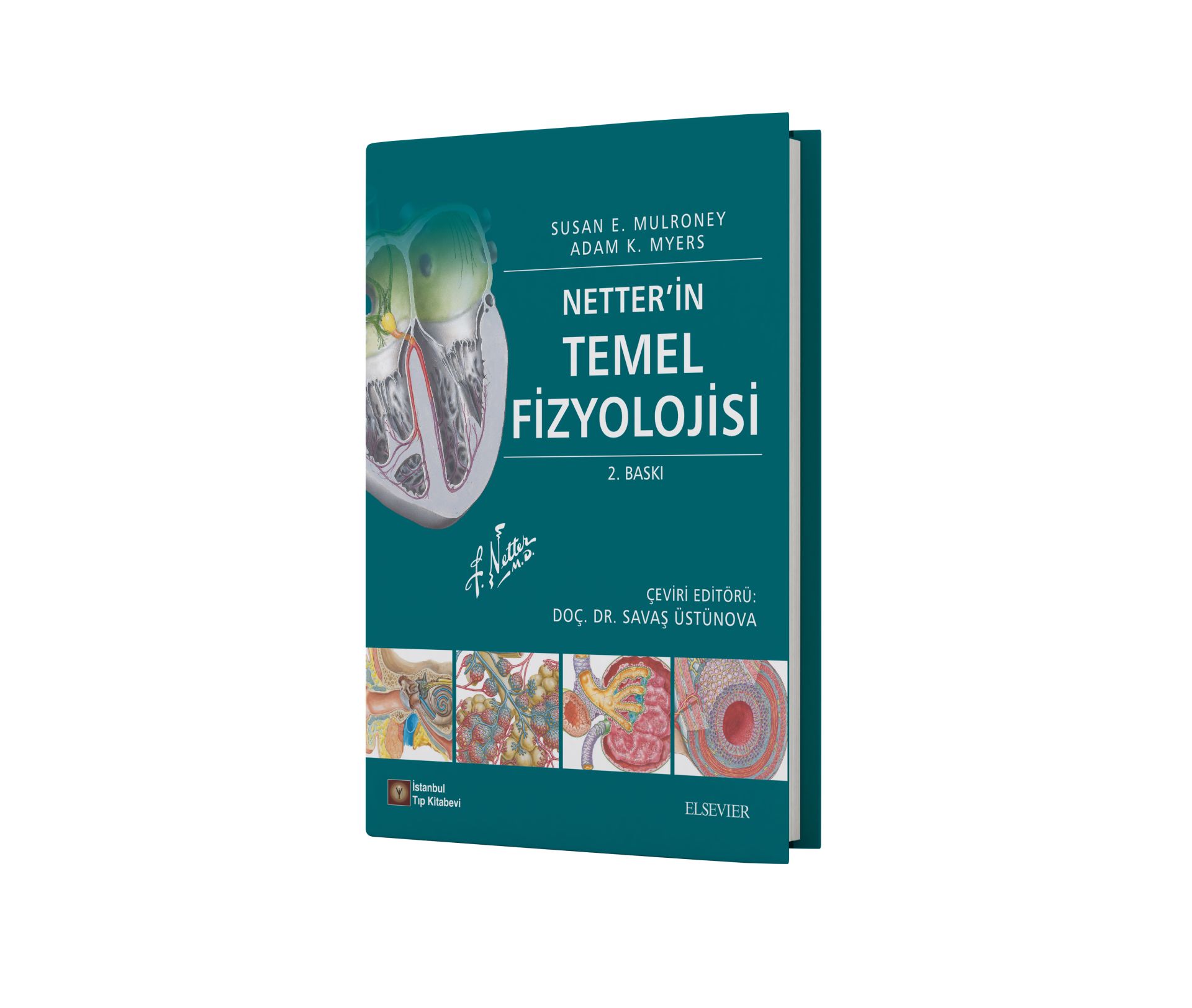 Netter'in Temel Fizyolojisi