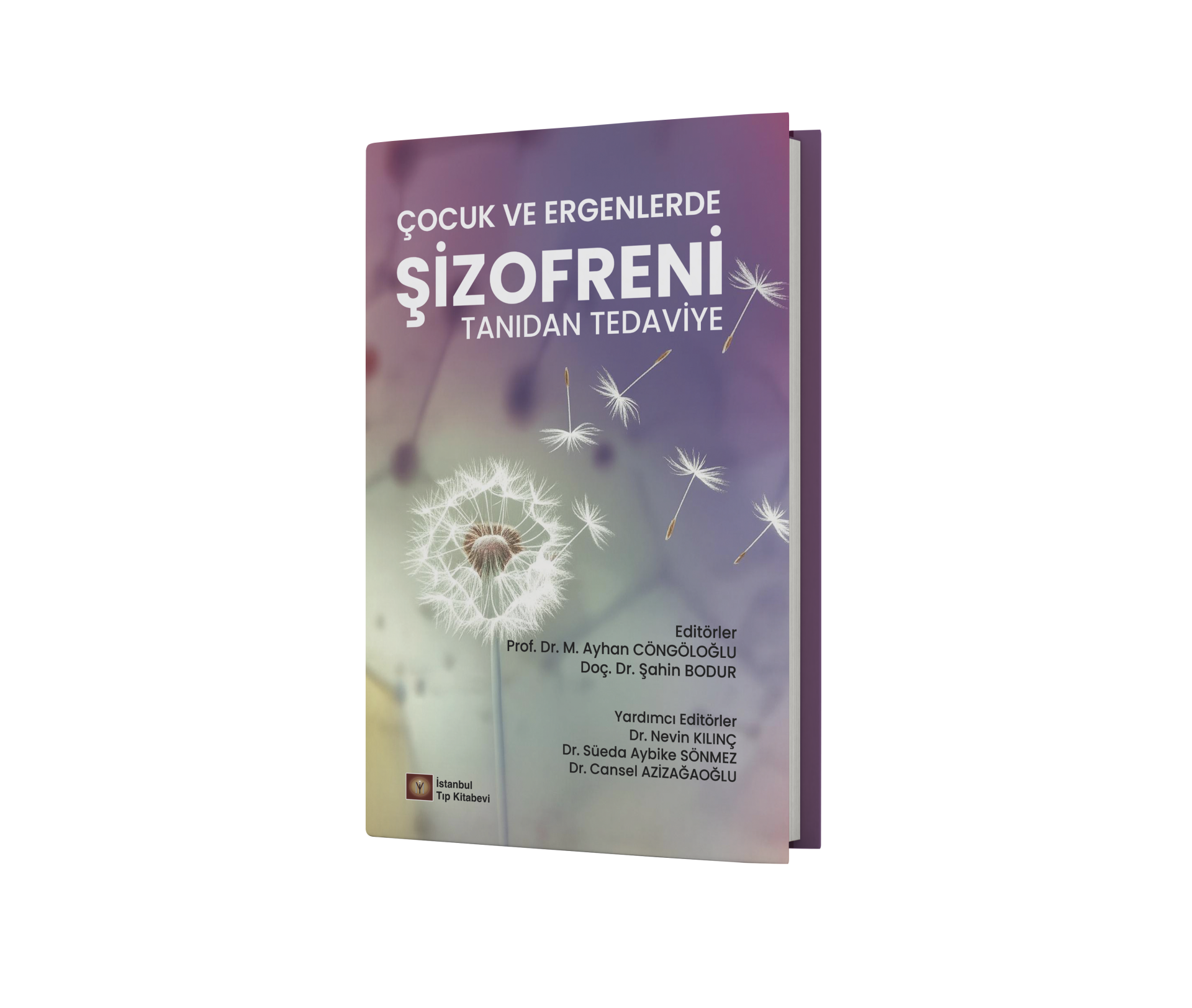 Çocuk ve Ergenlerde Şizofreni Tanıdan Tedaviye