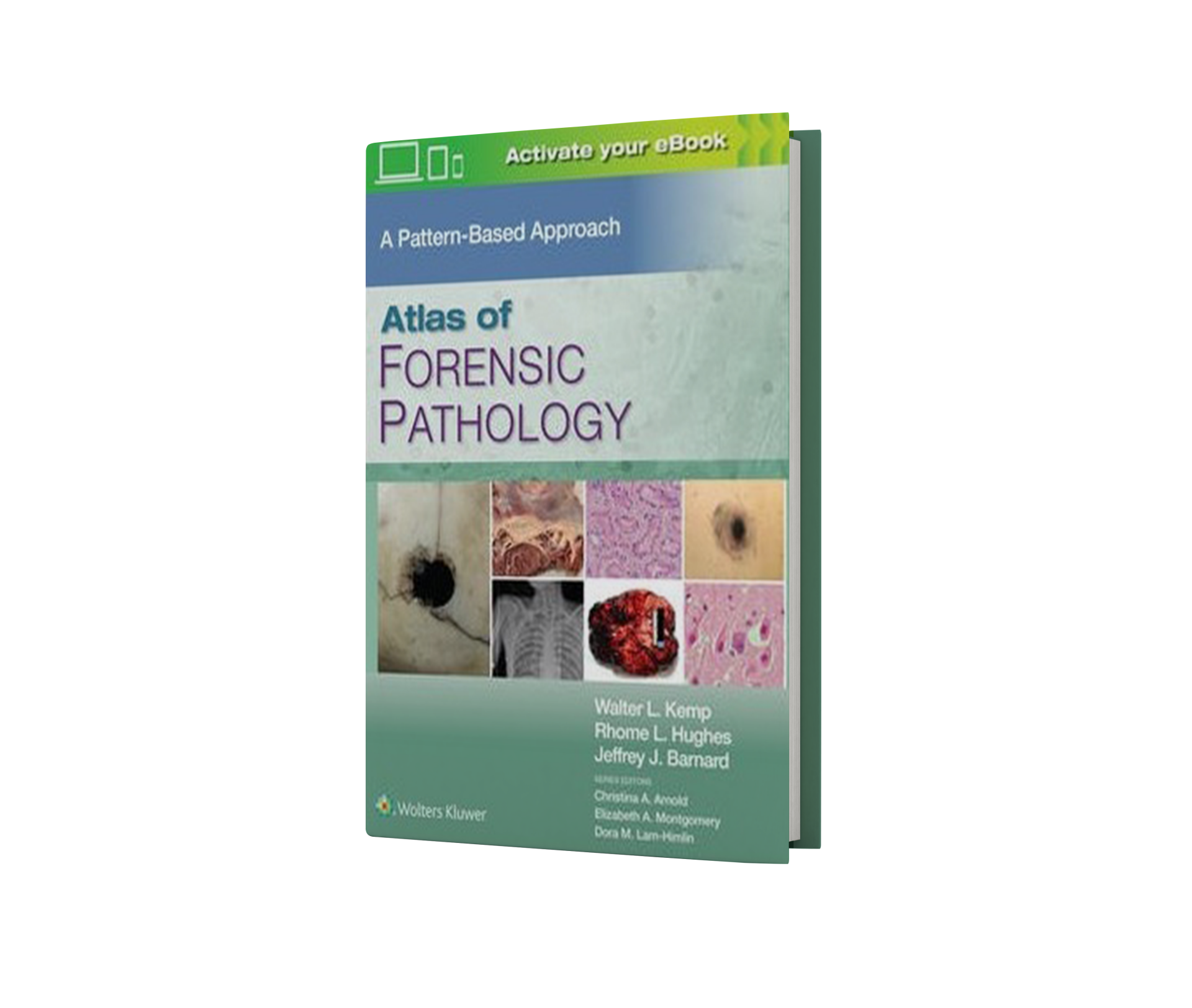 Atlas of Forensic Pathology: A Pattern Based Approach