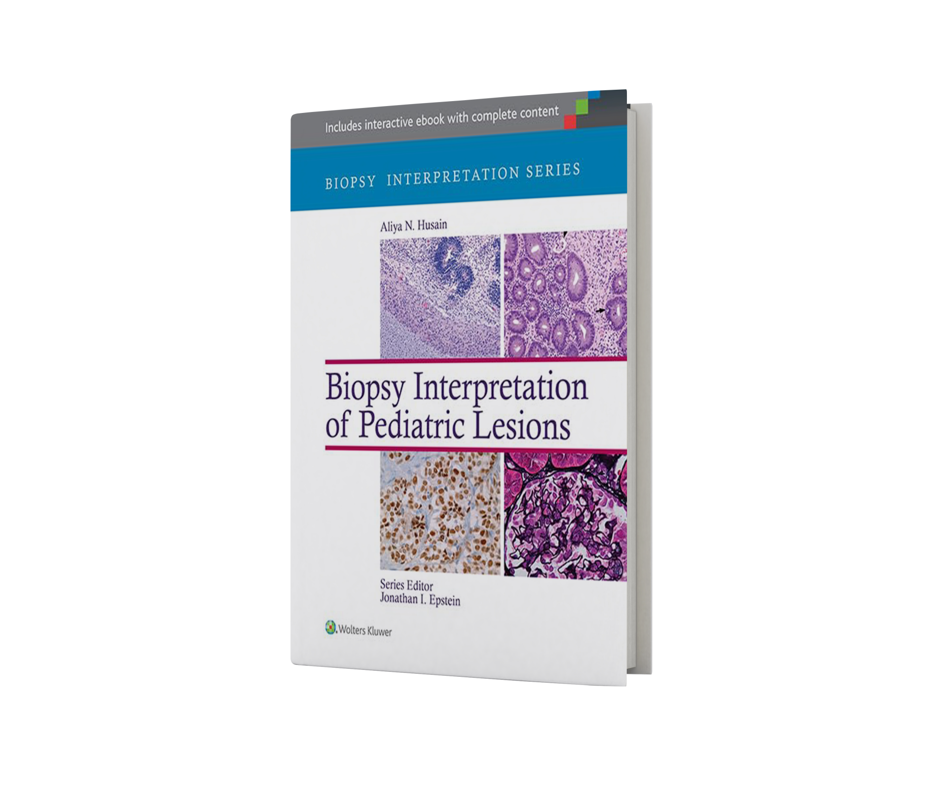 Biopsy Interpretation of Pediatric Lesions (Biopsy Interpretation Series)