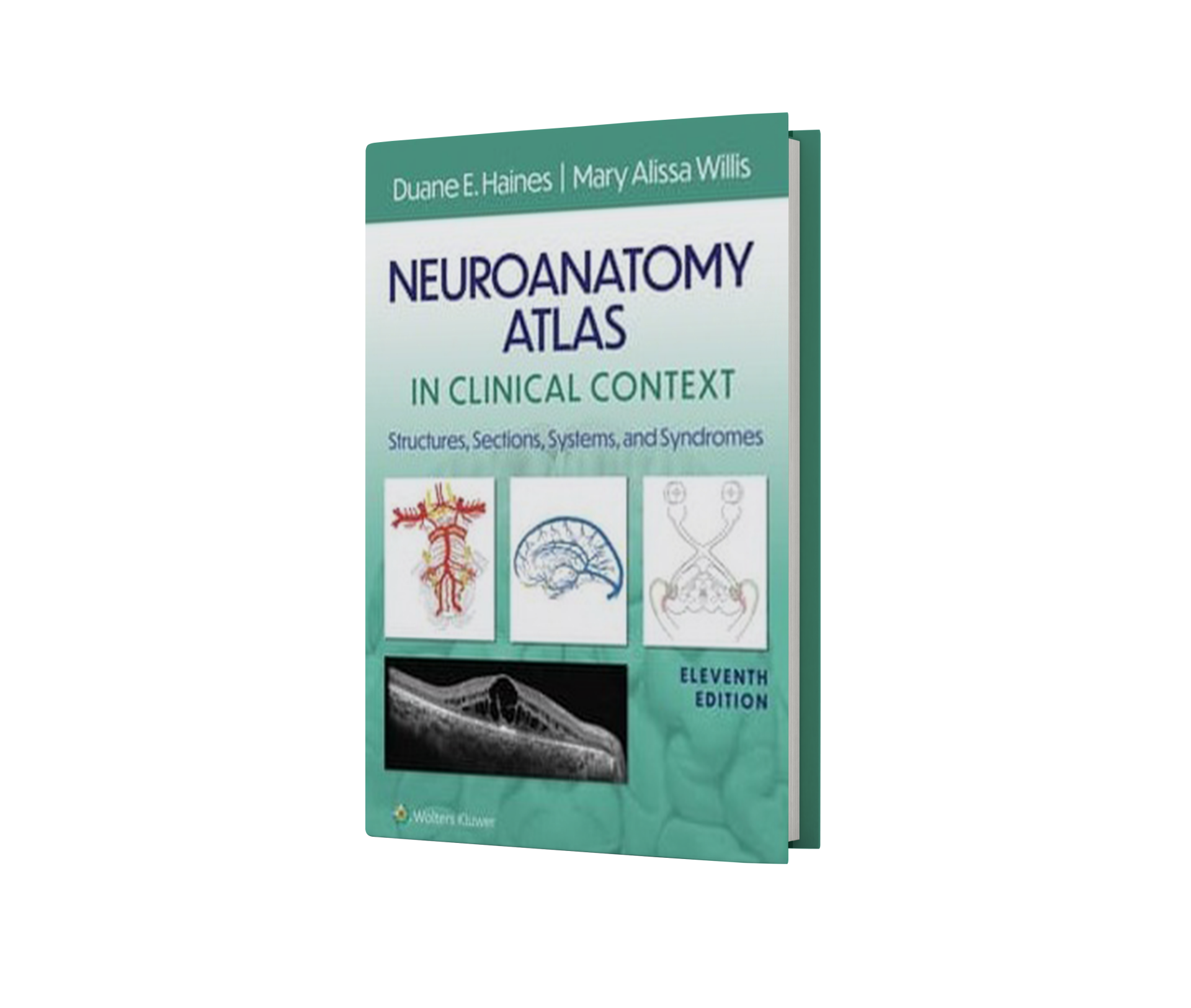 Neuroanatomy Atlas in Clinical Context: Structures, Sections, Systems, and Syndromes, 11th Edition