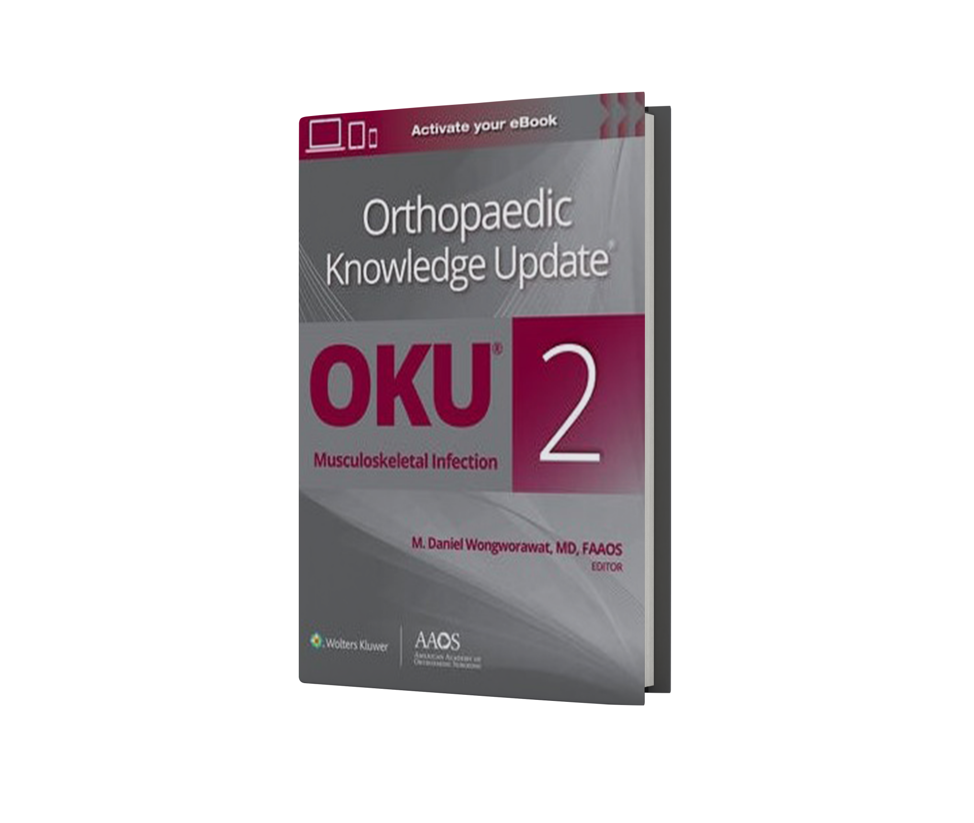 Orthopaedic Knowledge Update® Musculoskeletal Infection 2