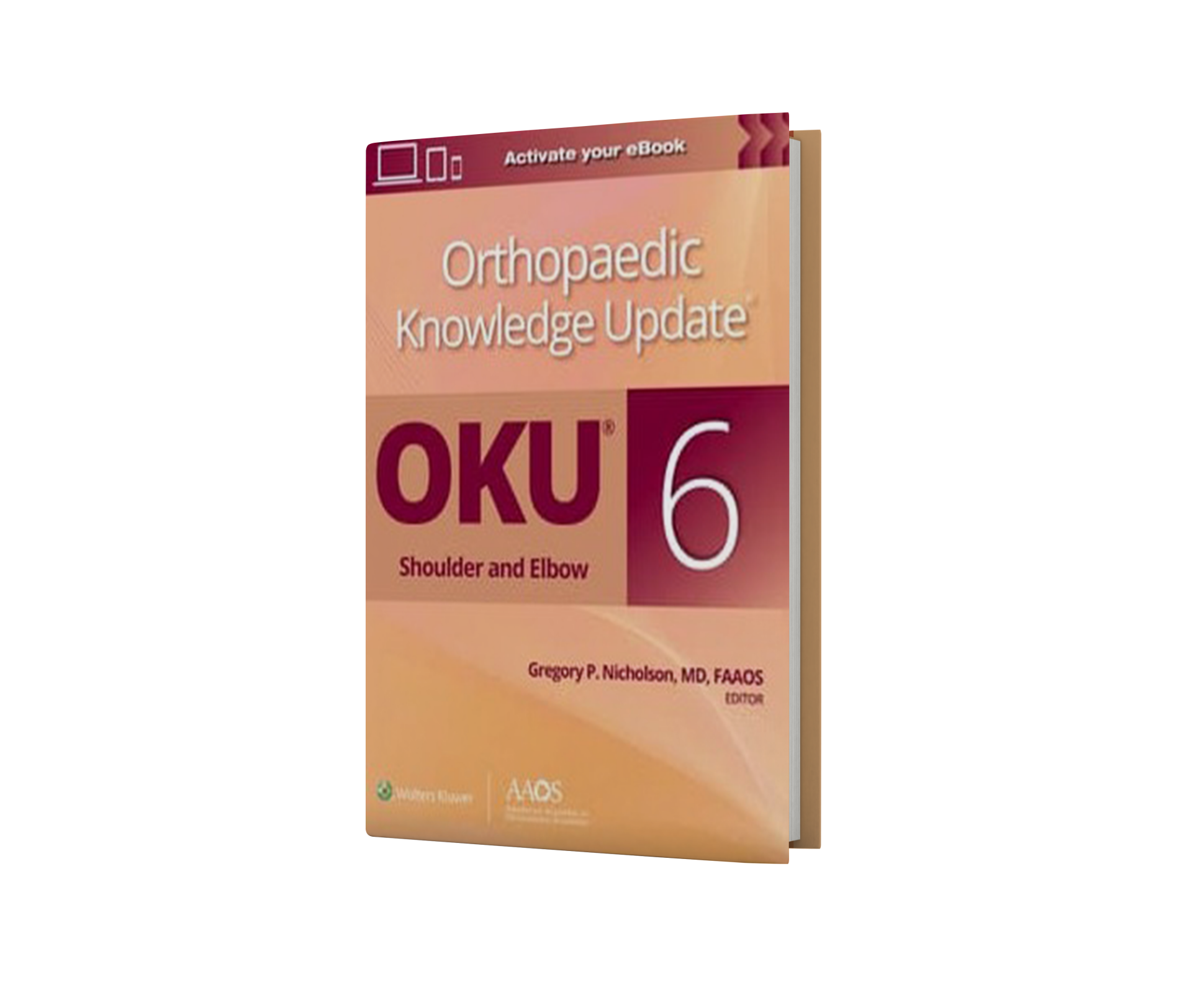 Orthopaedic Knowledge Update®: Shoulder and Elbow 6: Print + Ebook, 6th Edition