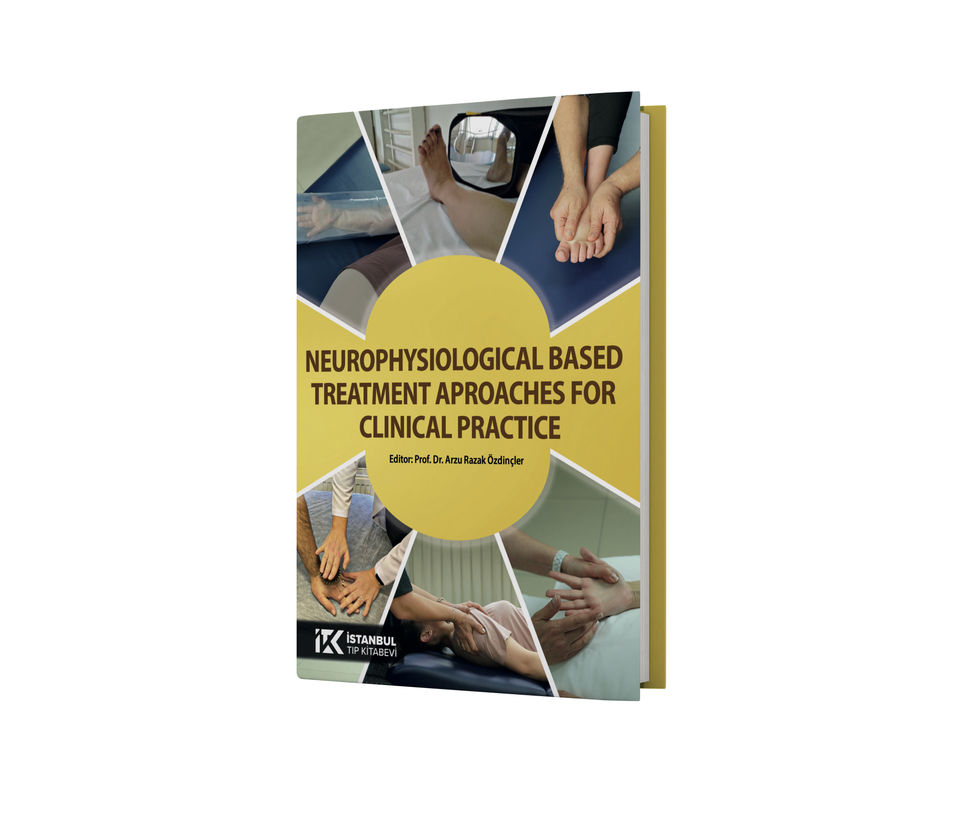 Neurophysiological Based Treatment Aproaches for Clinical Practice