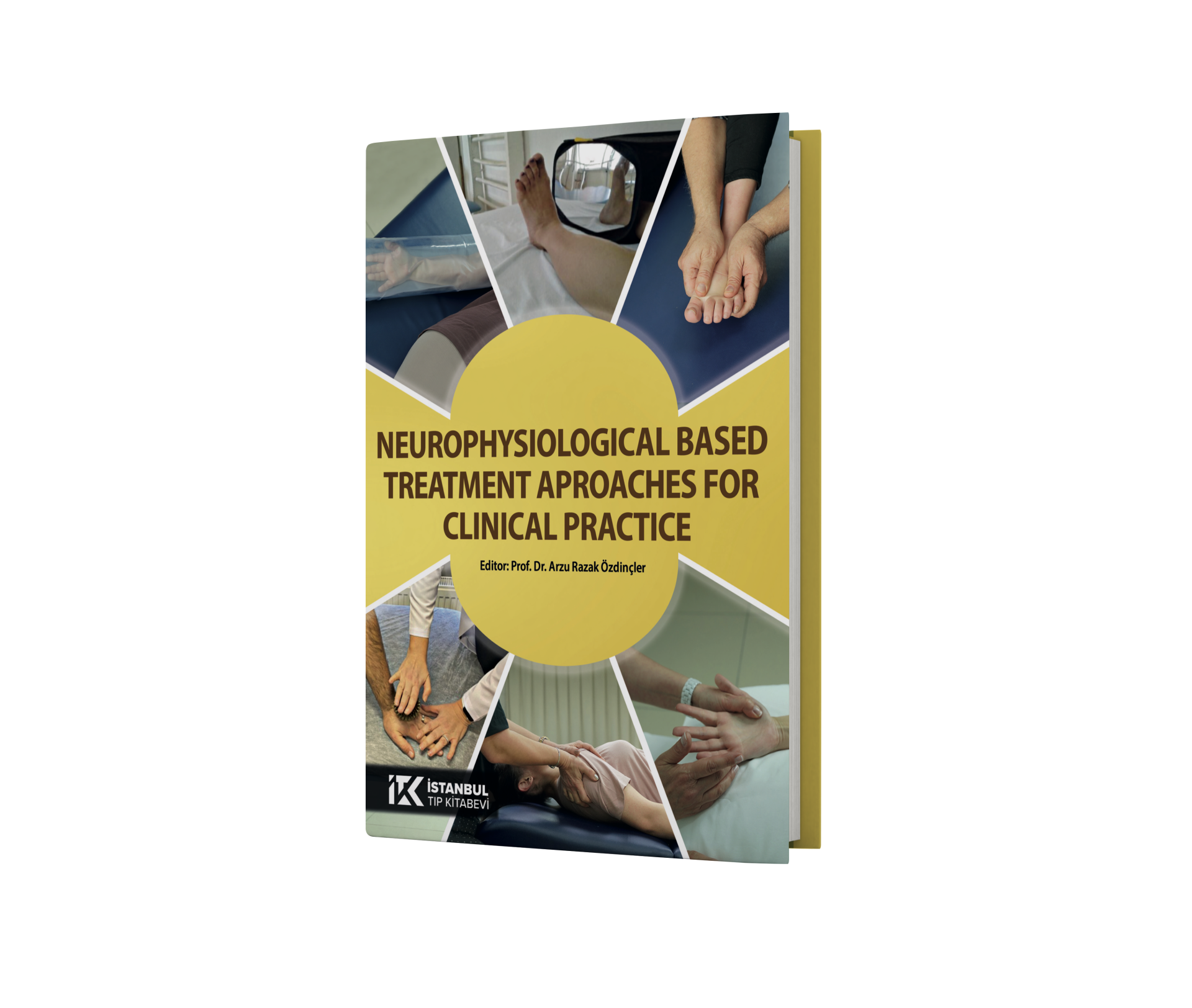 Neurophysiological Based Treatment Approaches