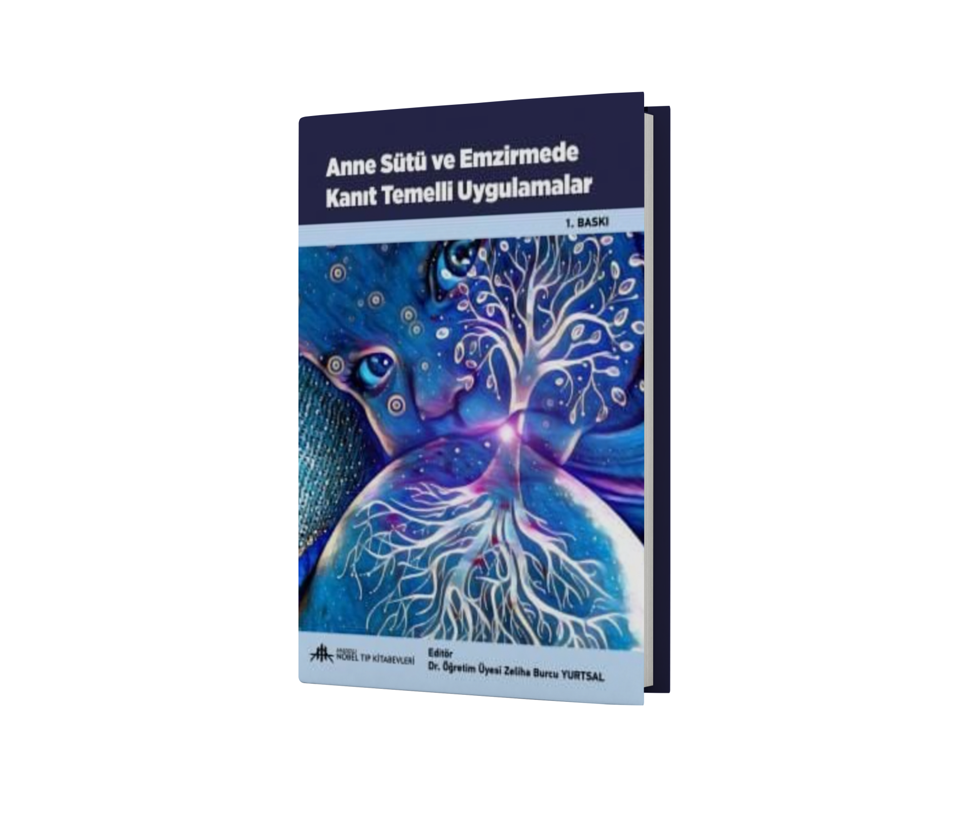 Anne Sütü ve Emzirmede Kanıt Temelli Uygulamalar