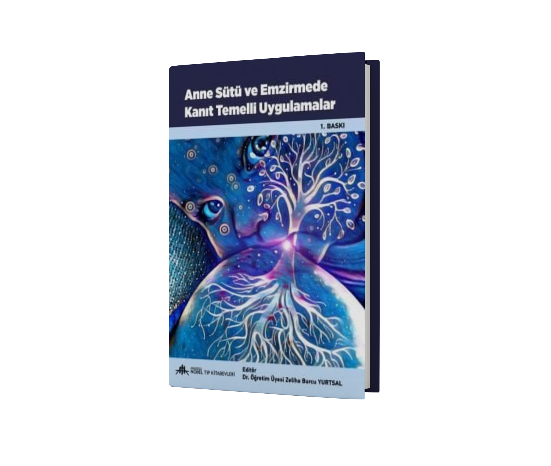 Anne Sütü ve Emzirmede Kanıt Temelli Uygulamalar
