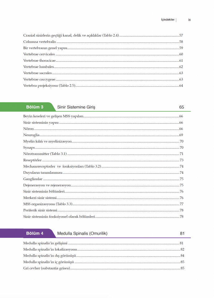 Her Yönüyle Nöroanatomi