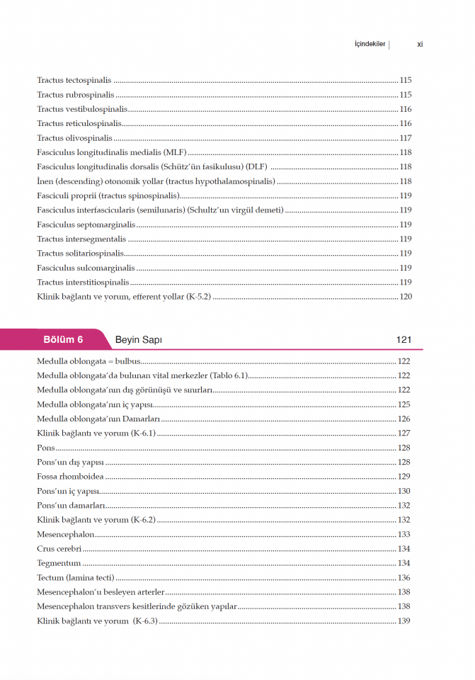 Her Yönüyle Nöroanatomi