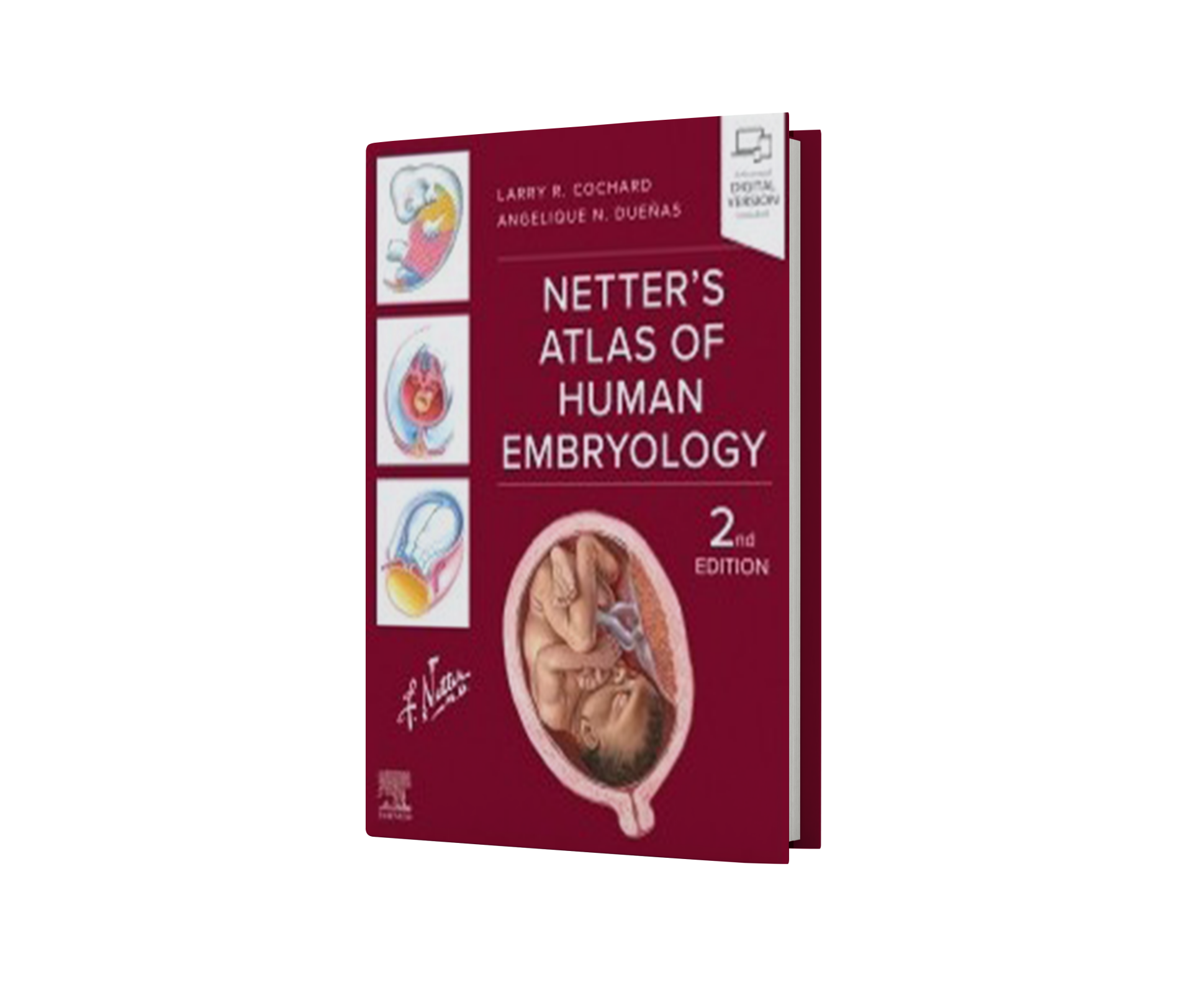 Netter`s Atlas of Human Embryology, 2nd Edition