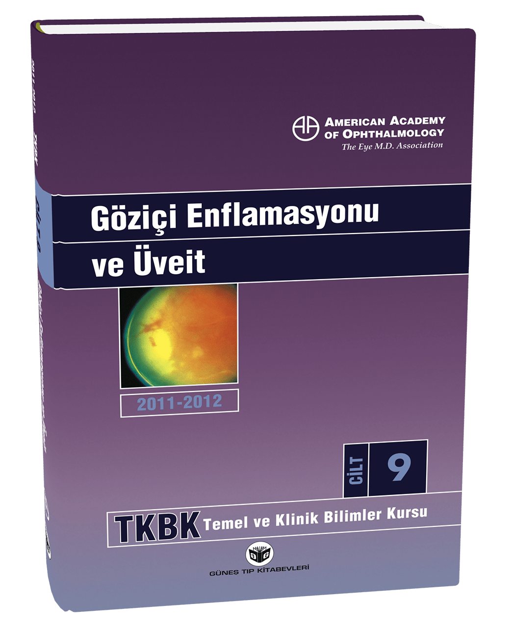 American Academy of Ophthalmology Göziçi Enflamasyonu ve Üveit