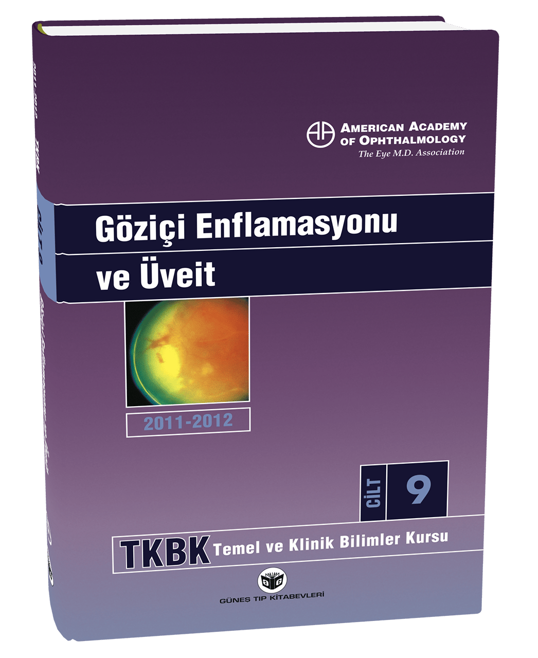 American Academy of Ophthalmology Göziçi Enflamasyonu ve Üveit