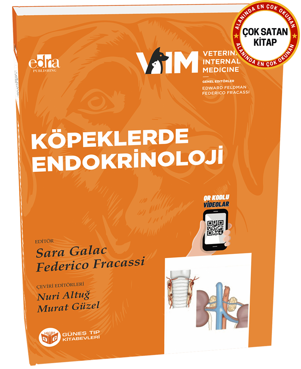 FELDMAN - Köpeklerde Endokrinoloji (QR Kodlu Videolu)