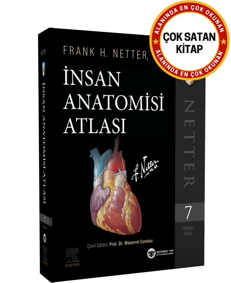 Netter İnsan Anatomisi Atlası