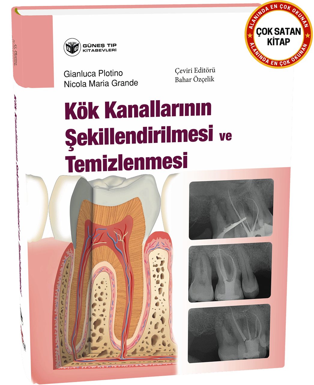 Kök Kanallarının Şekillendirilmesi ve Temizlenmesi