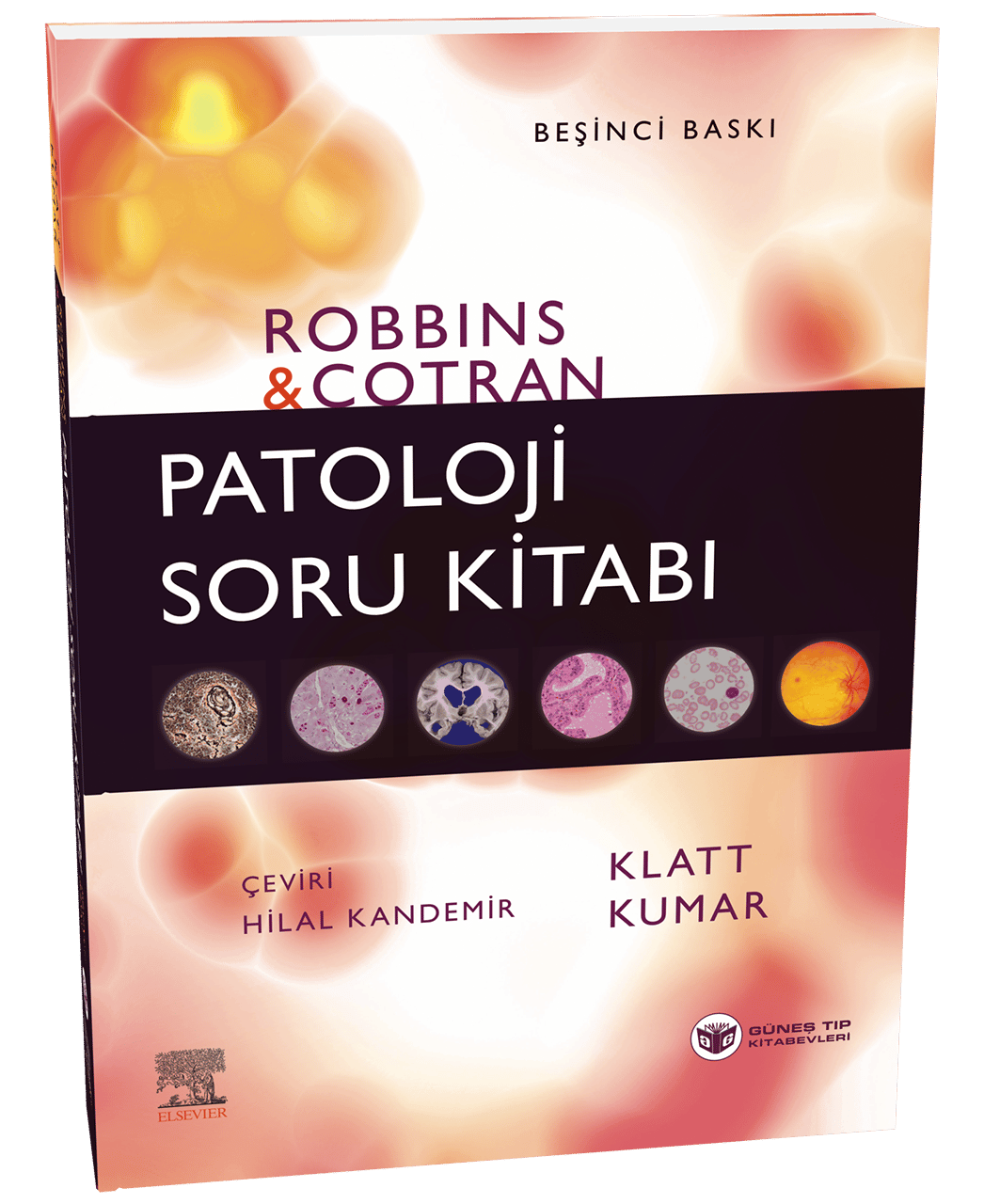 Robbins Patoloji Soru Kitabı (Kapsamlı Gözden Geçirme)