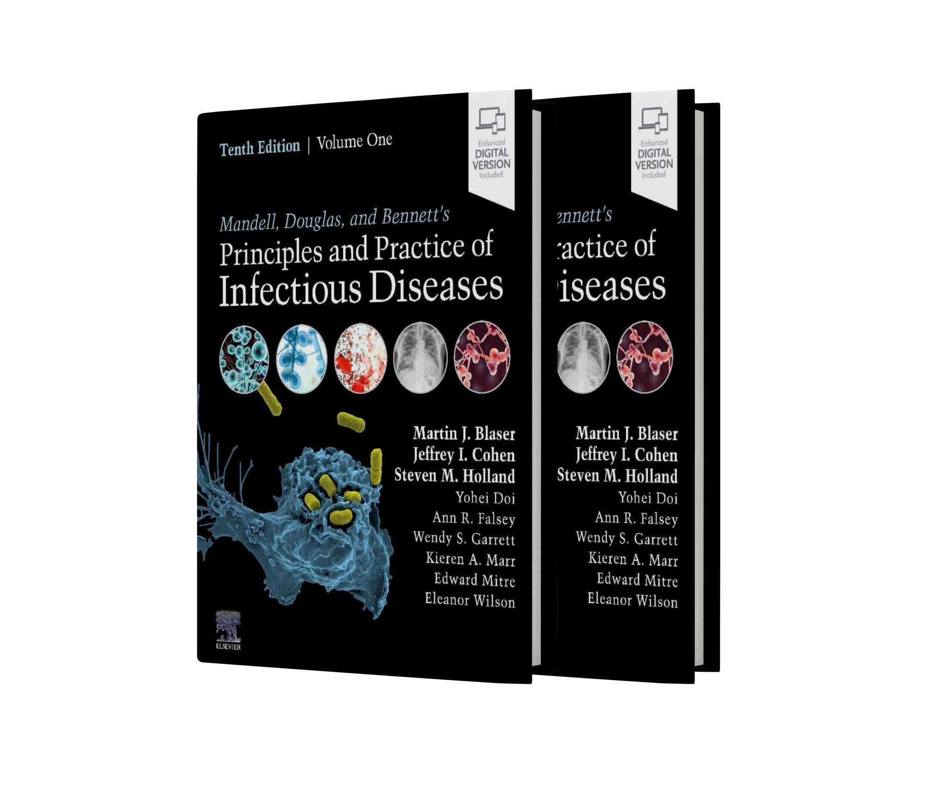 Mandell Infectious Diseases 10th Edition 2-Volume Set