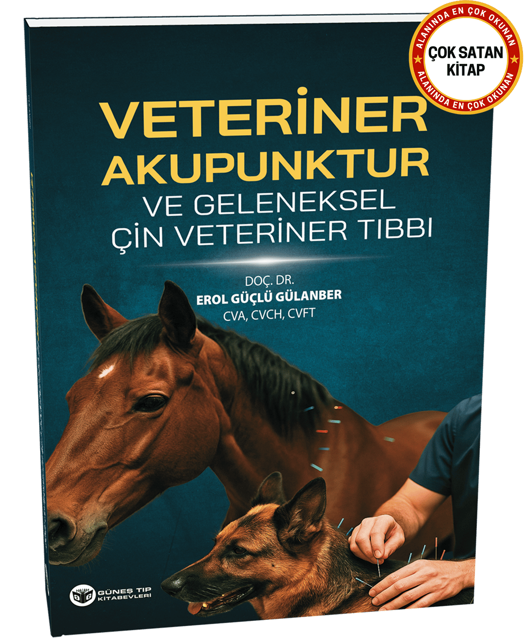 Veteriner Akupunktur ve Geleneksel Çin Veteriner Tıbbı