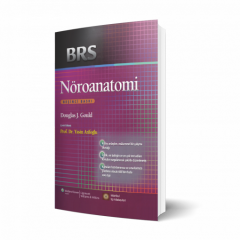 BRS NÖROANATOMİ