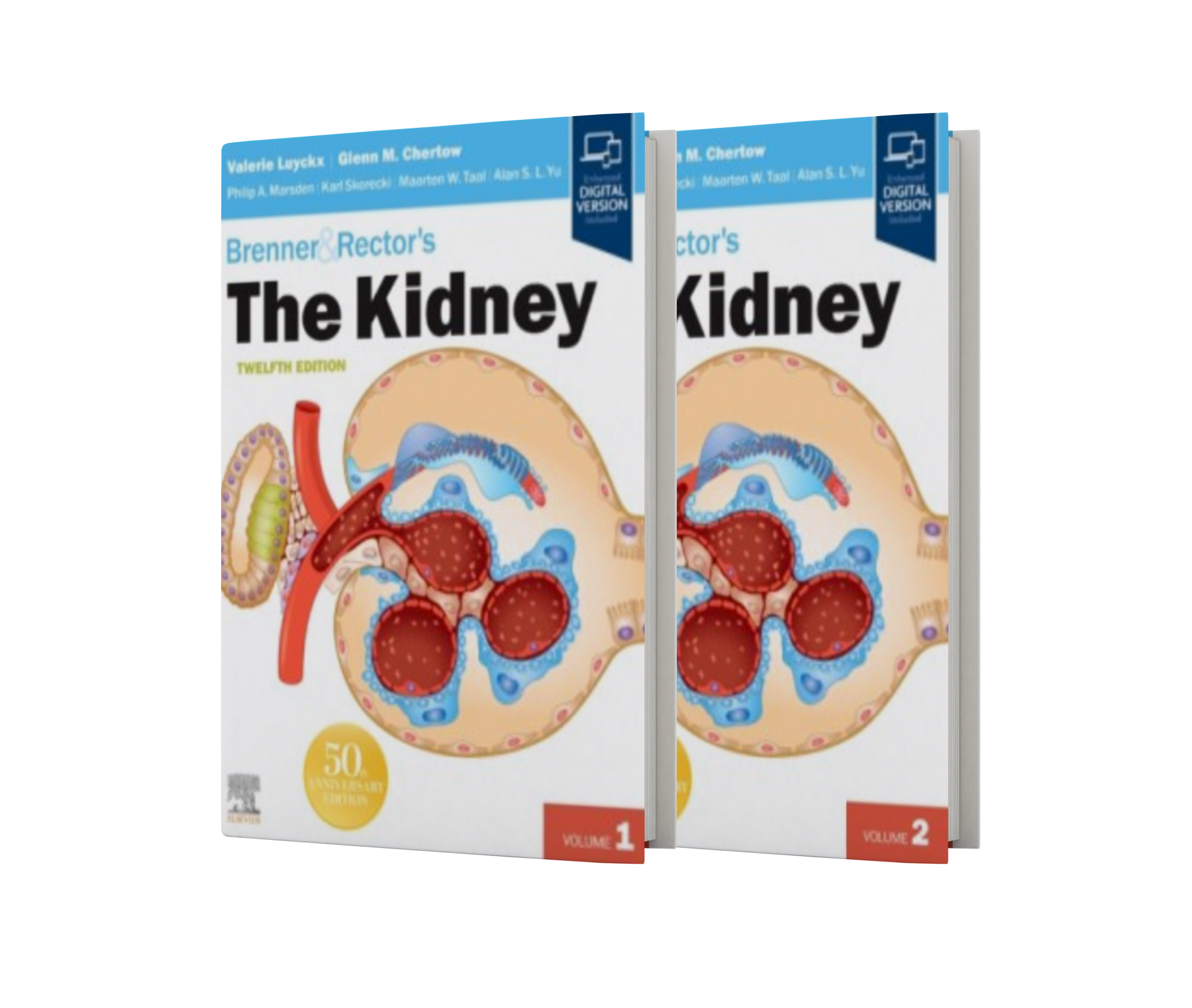 Brenner & Rector's The Kidney (2 volume set), 12th Edition