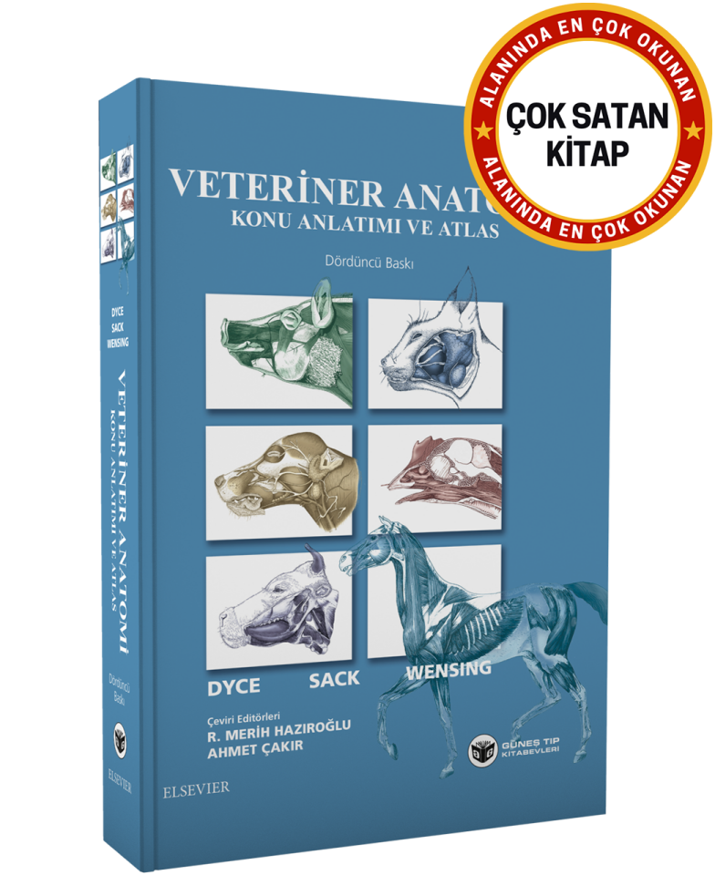 Veteriner Anatomi Konu Anlatımı ve Atlas