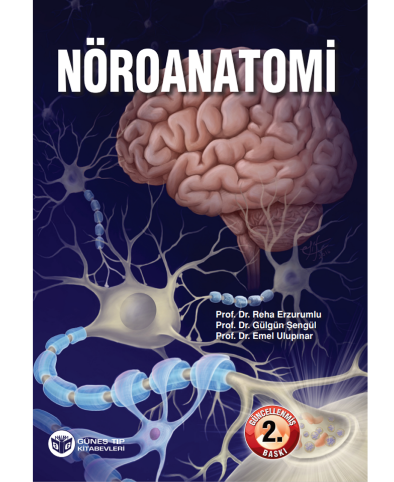 Nöroanatomi (Güncellenmiş 2. Baskı)