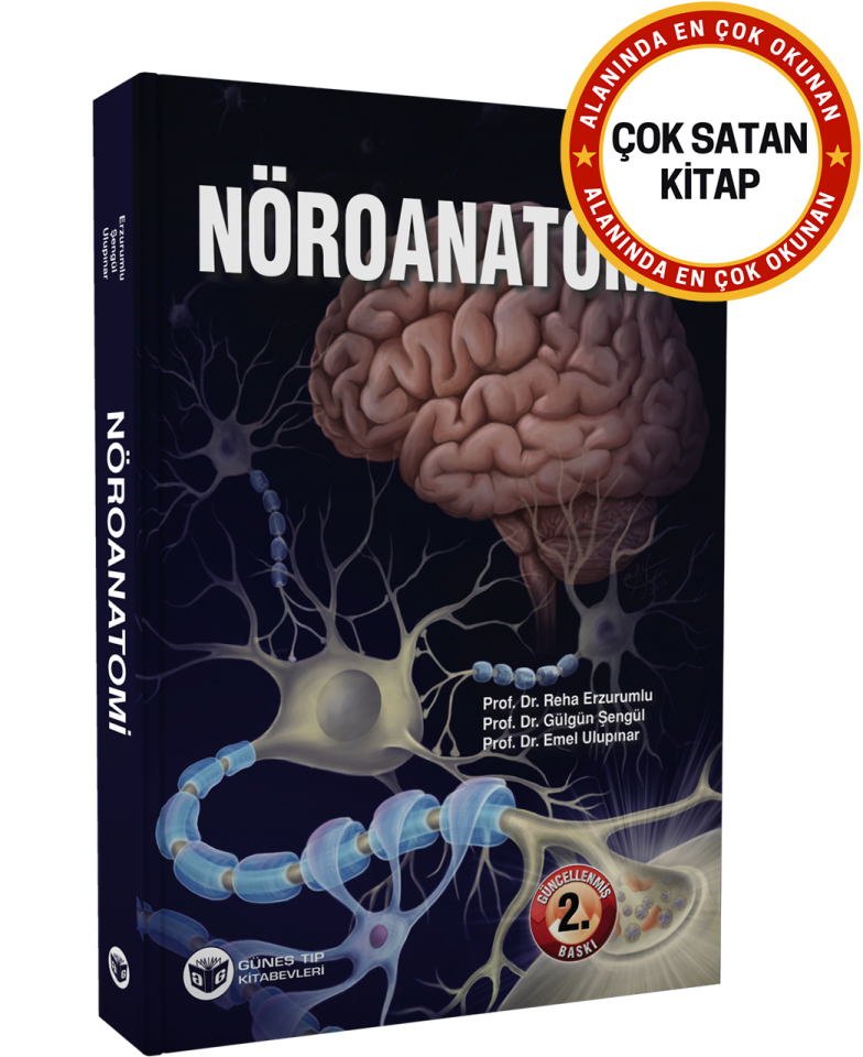 Nöroanatomi (Güncellenmiş 2. Baskı)