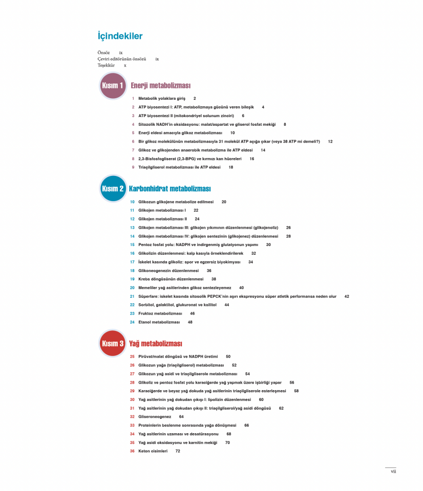 Bir Bakışta Metabolizma Atlası