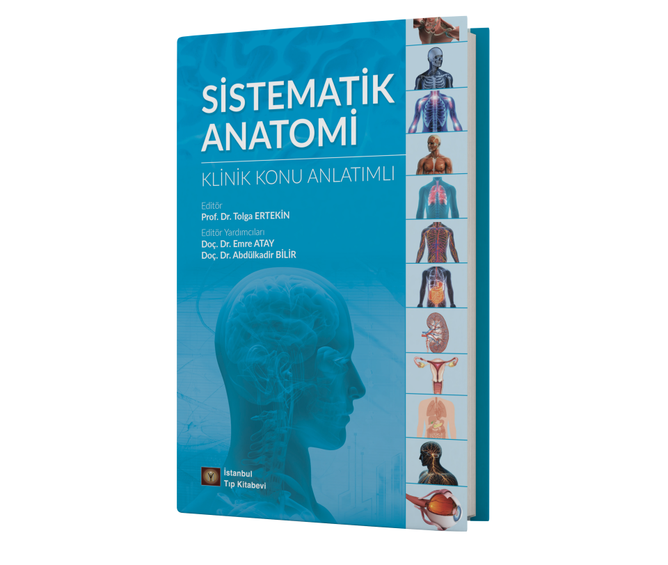 Sistematik Anatomi Klinik Konu Anlatımlı