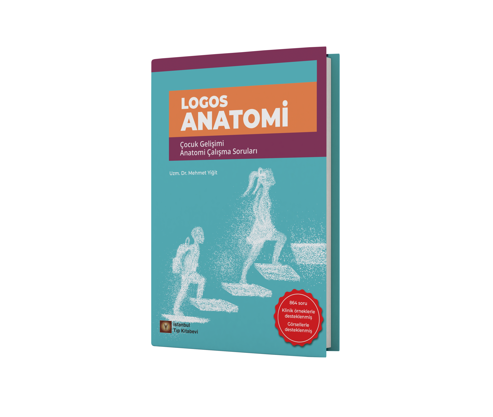 Logos Anatomi Çocuk Gelişimi Anatomi Çalışma Soruları