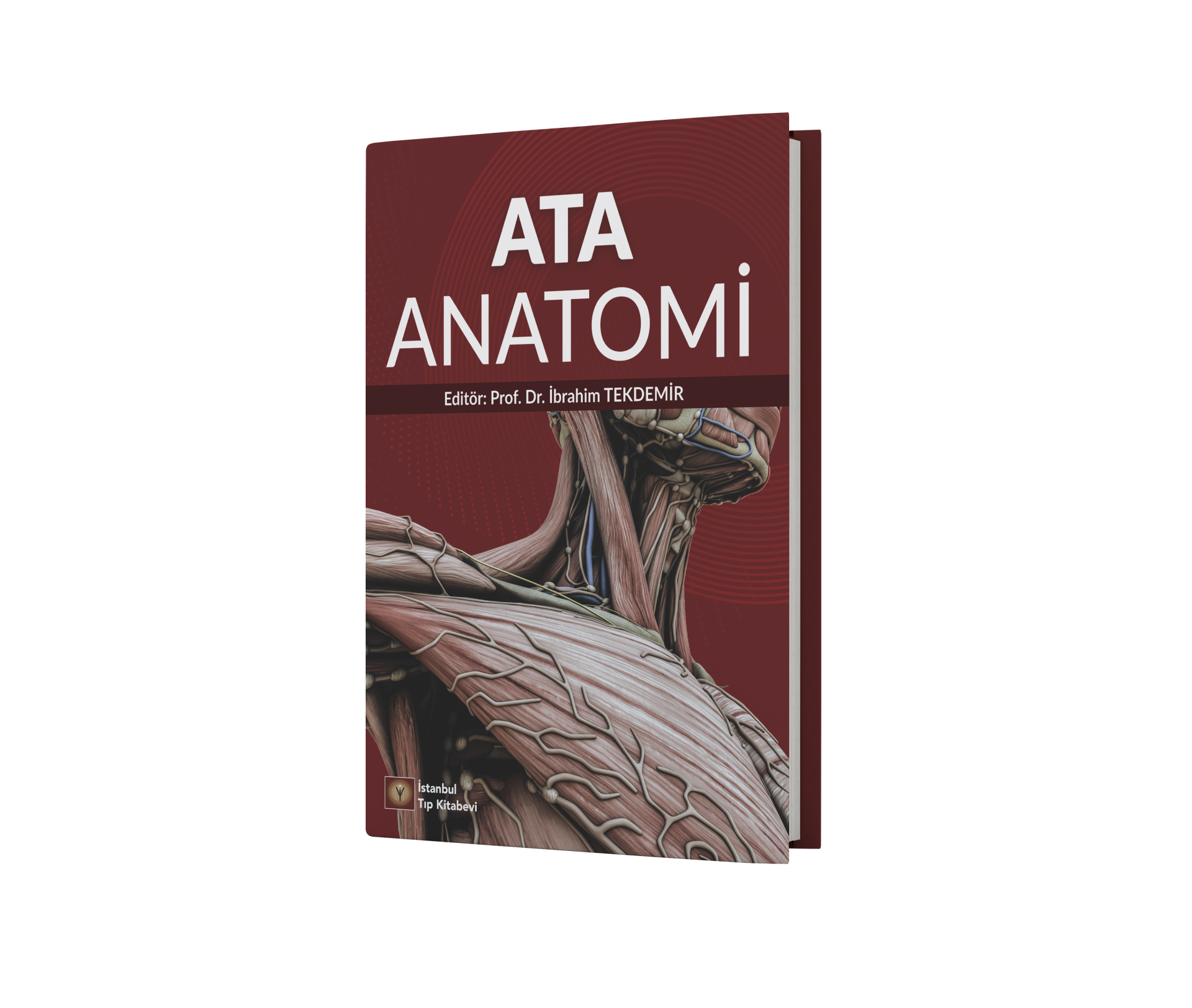 Ata Anatomi