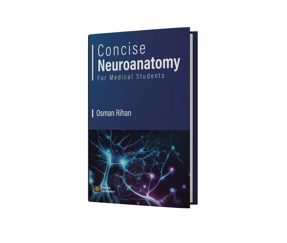 Concise Neuroanatomy For Medical Students