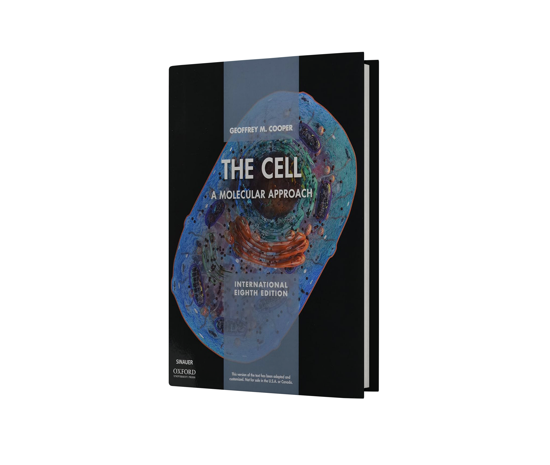 The Cell: A Molecular Approach 8e