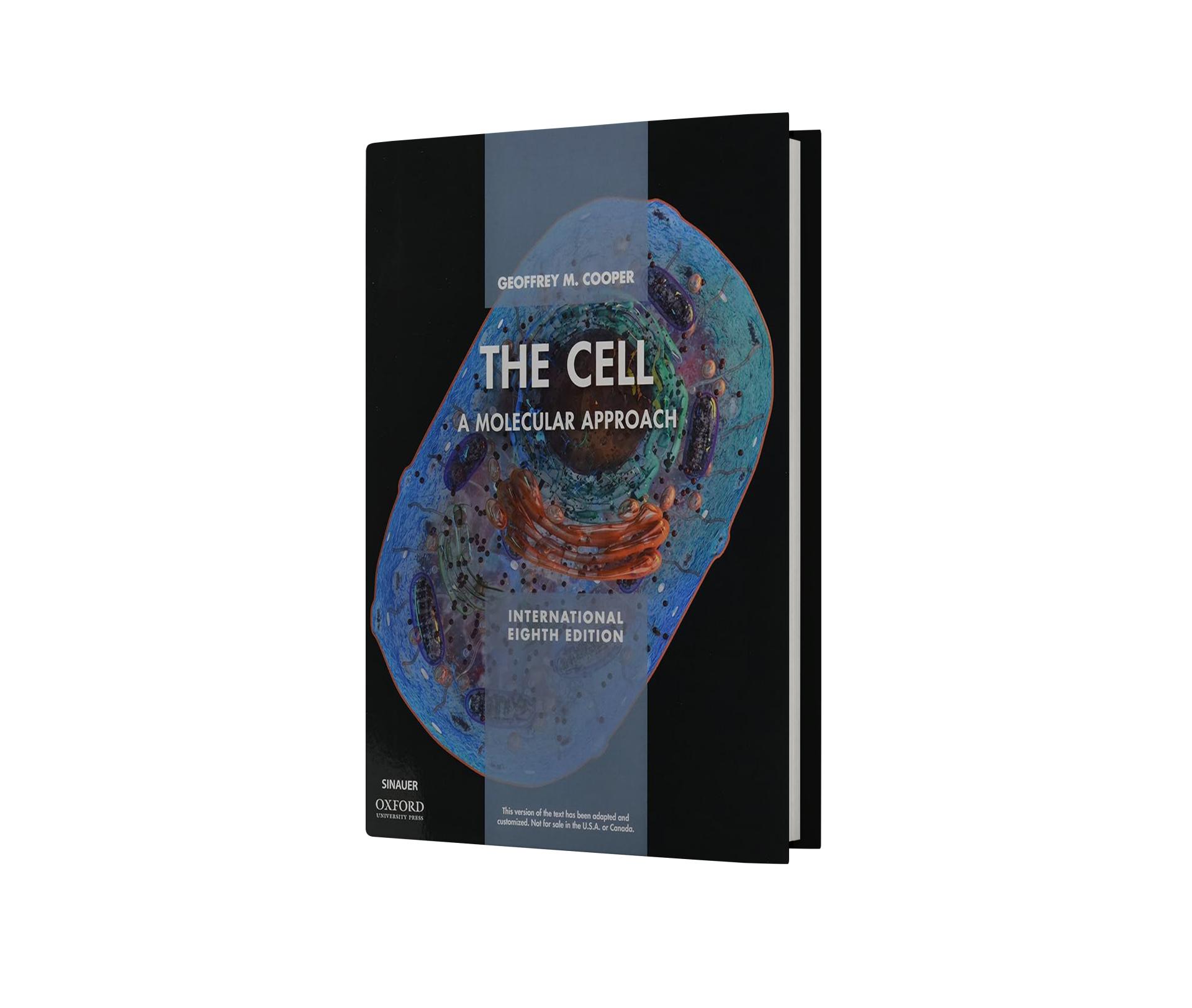 The Cell: A Molecular Approach 8e