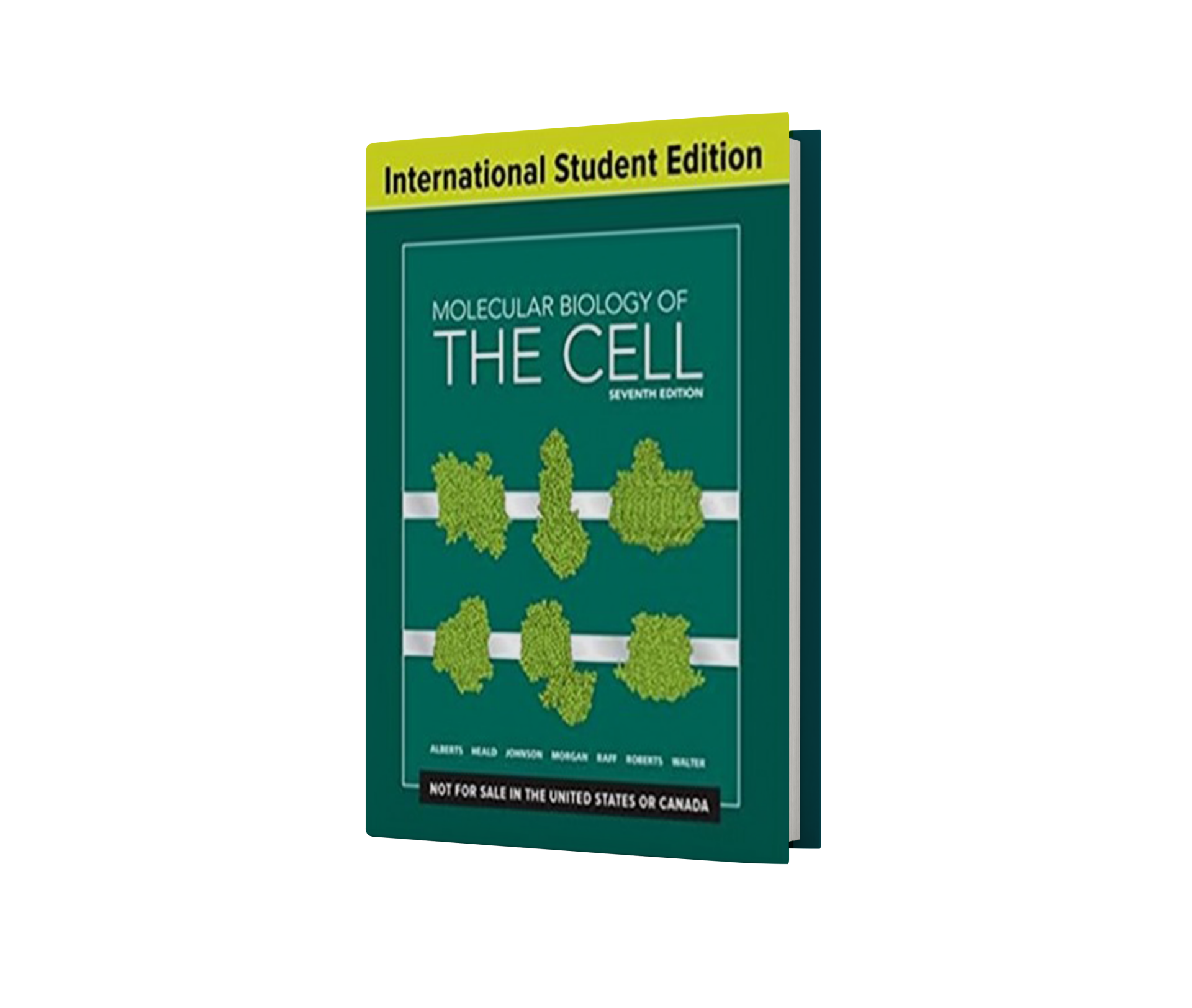 Molecular Biology of the Cell 7th Edition