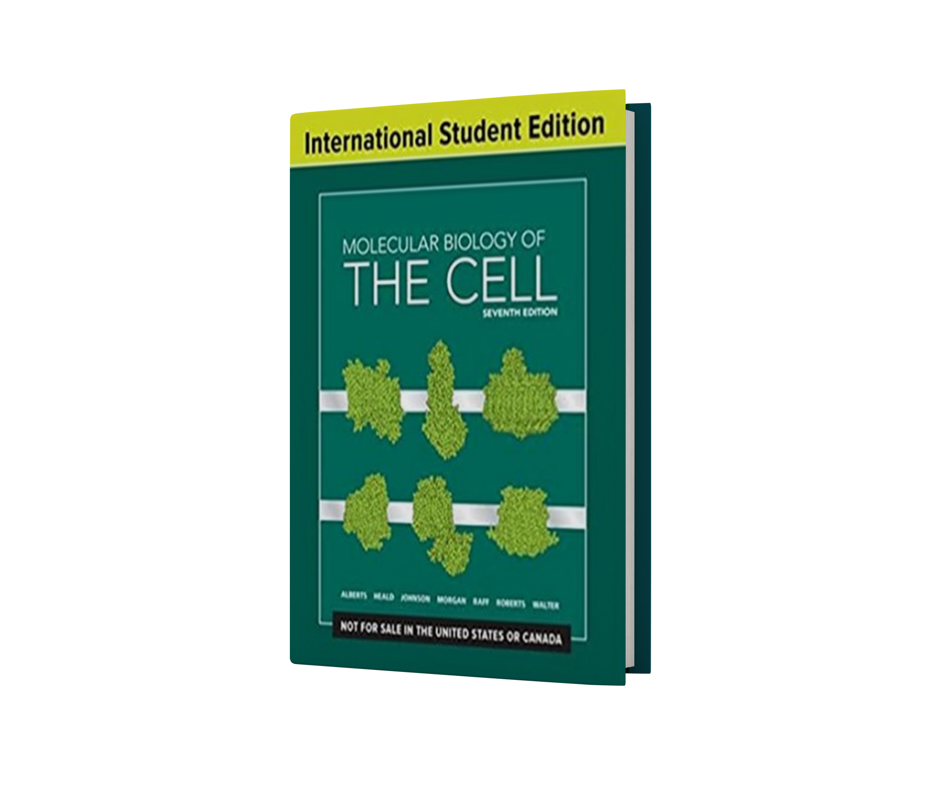Molecular Biology of the Cell 7th Edition