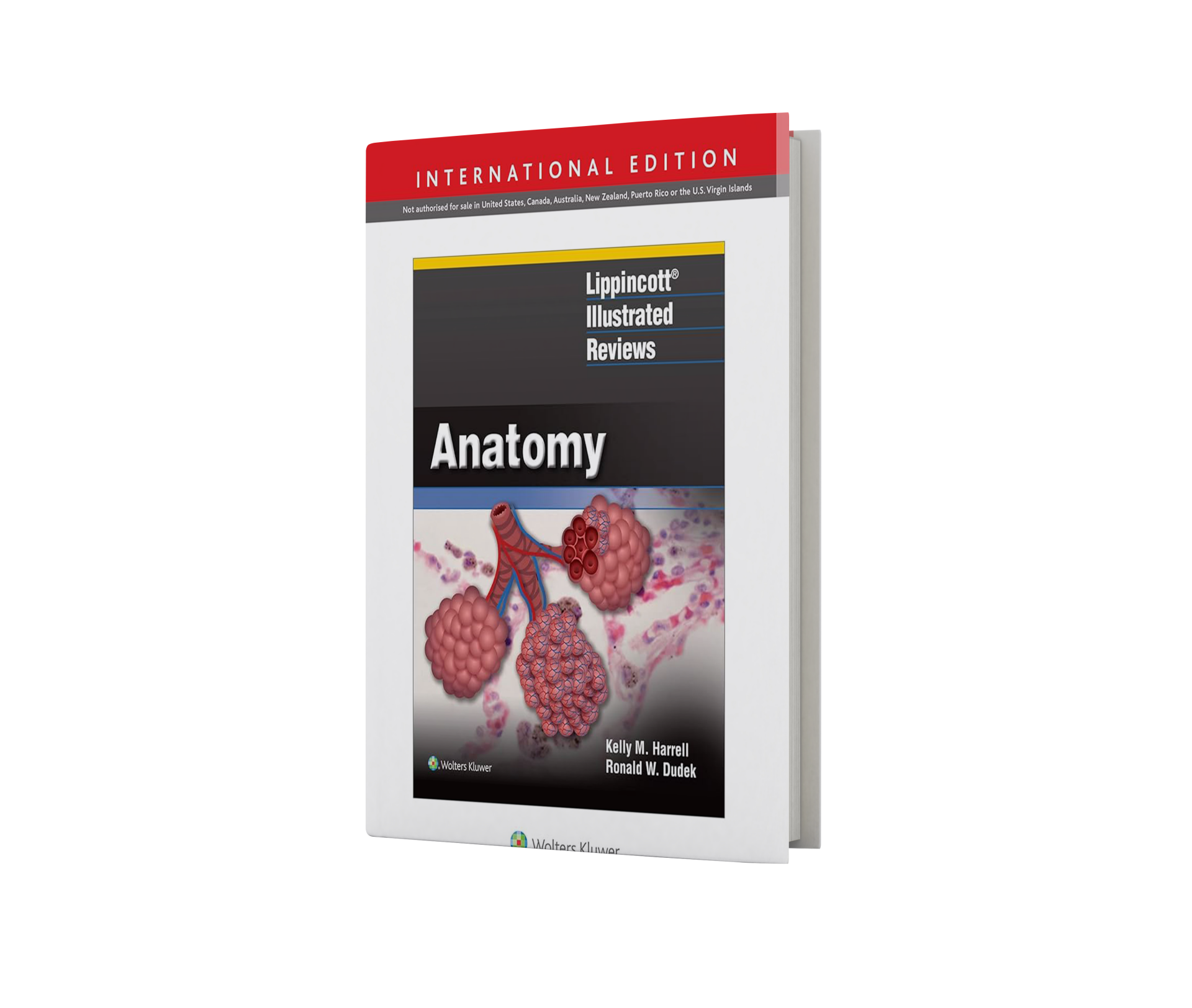 Lippincott Illustrated Reviews: Anatomy